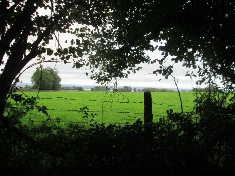 Fields at Woodcroft