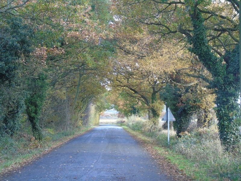 Road near Frankland