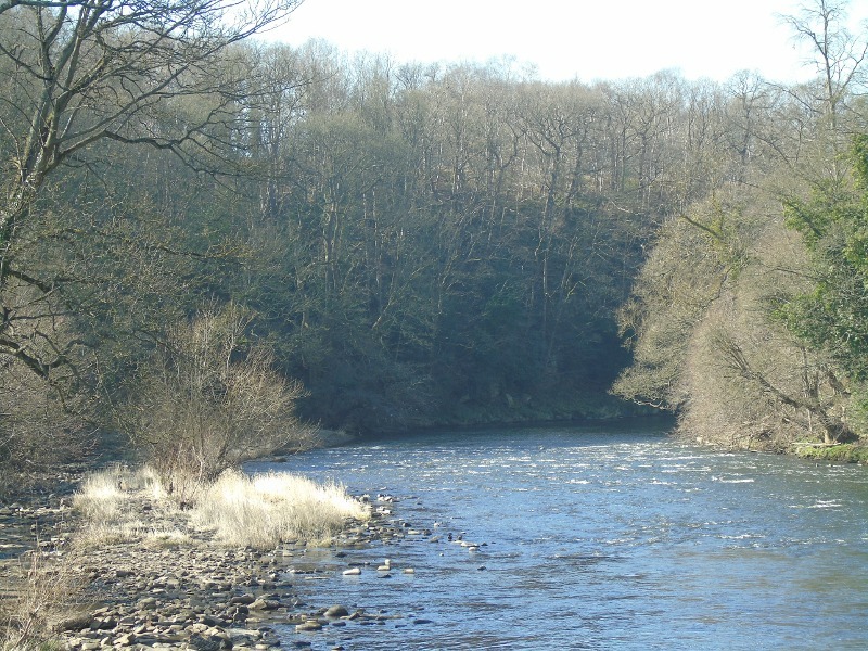 River Wear at Finchale Priory