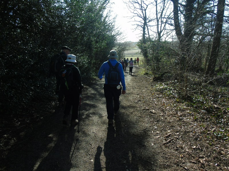 Footpath near Frankland