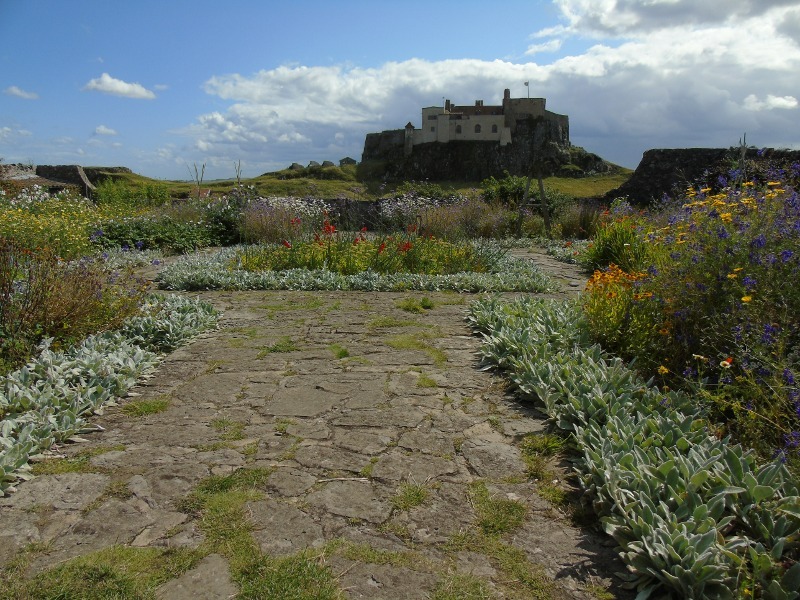 Gertrude Jekyll Garden