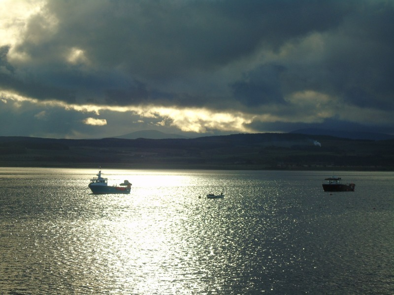 Holy Island Harbour