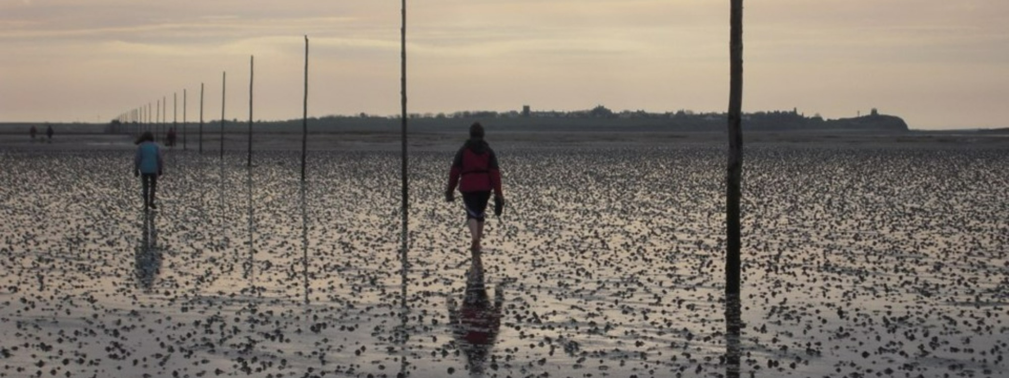 Walks*St Cuthbert's Way Pilgrimage*Find out more