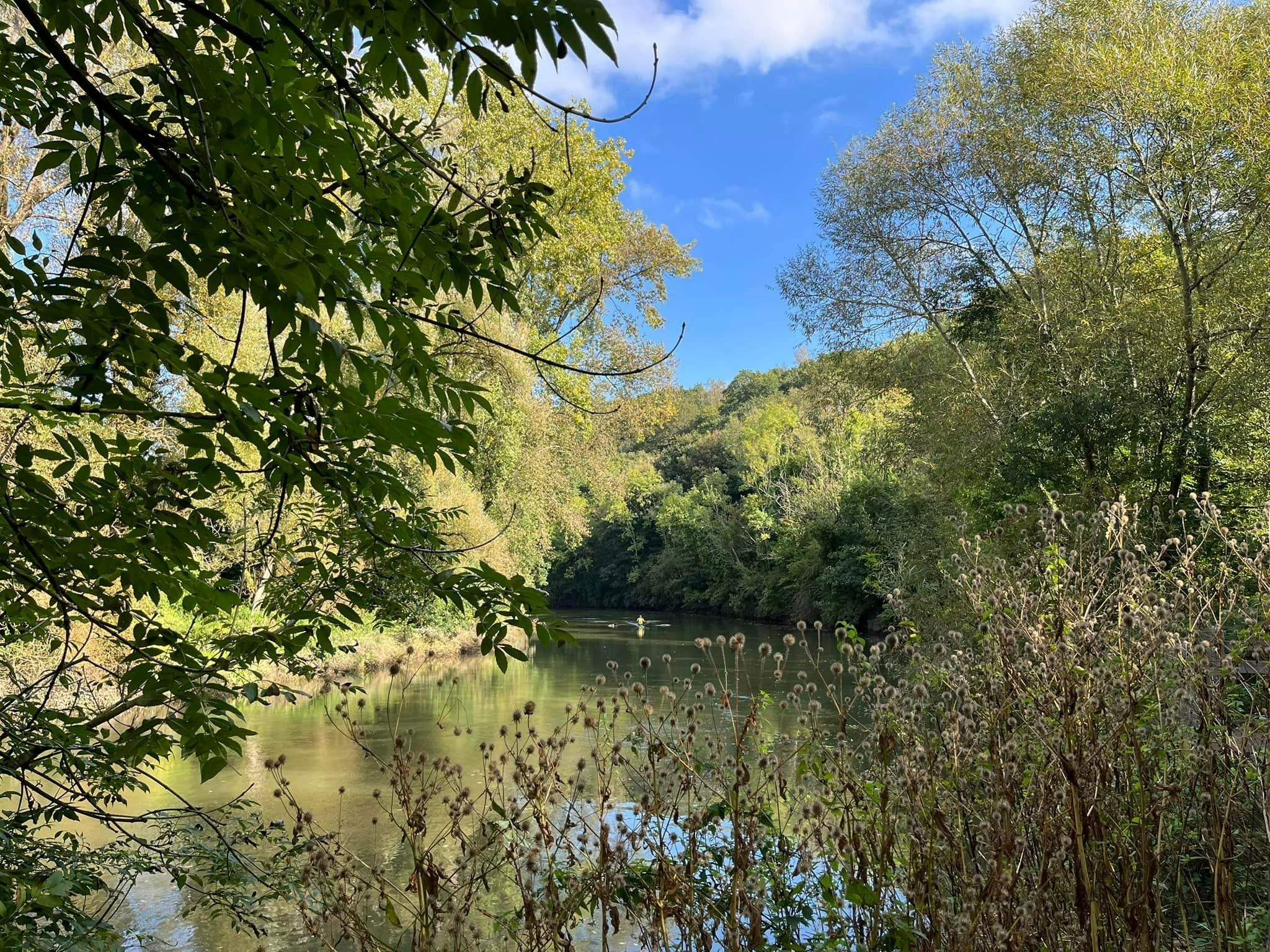 River Avon at Conham